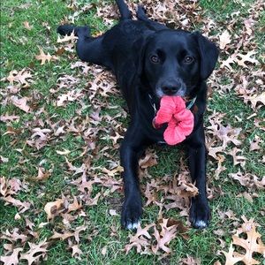 Meet your Posher, Kara